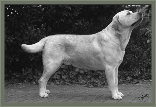 Charly 2 Jahre