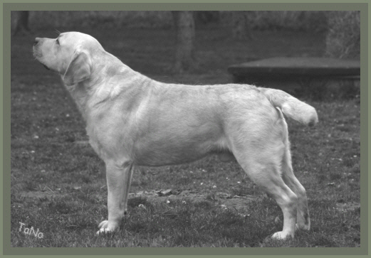 Charly 2 1/2 Jahre