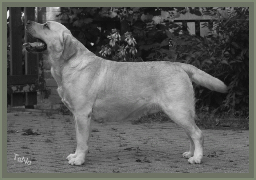 Charly 3 Jahre