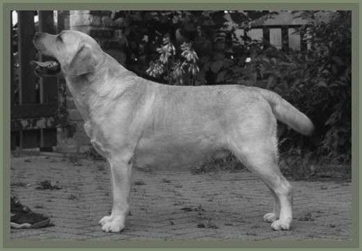 Annual�s Name Of The Game (Charly)  3 Jahre