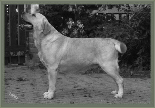 Charly 3 Jahre