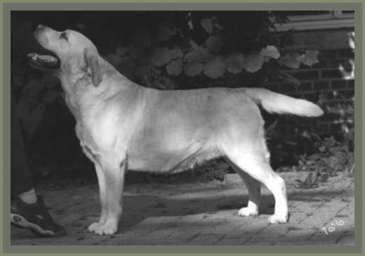 Charly 3 Jahre