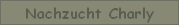 Nachzucht